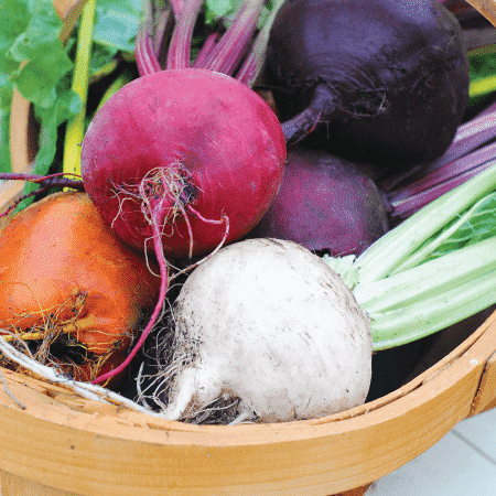 Nutritious Beets Are Nature’s “Viagra,” While Cleansing the Body