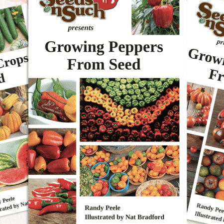 Free Early Bird Order Seed Packets; New Vine Crops Growing Guide