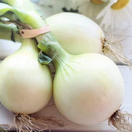Our Shift From Pungent To Sweet Onions Likely Cost Us Precious Phytonutrients