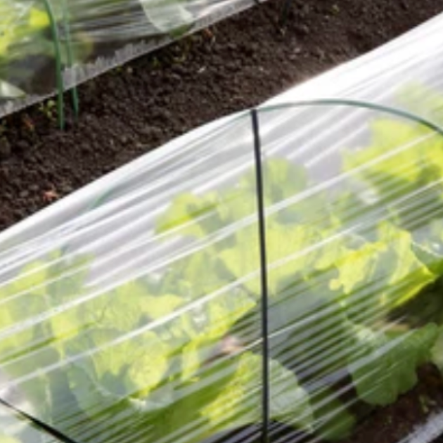 Protect Your Plants: A Beginner's Guide to Using Floating Row Cover