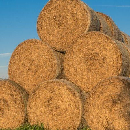 Can’t Find Straw Bales; Make Your Own From Compostable Leftovers