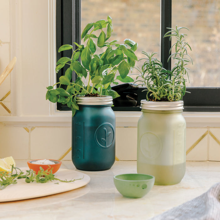 Modern Sprout Garden Jar, Basil