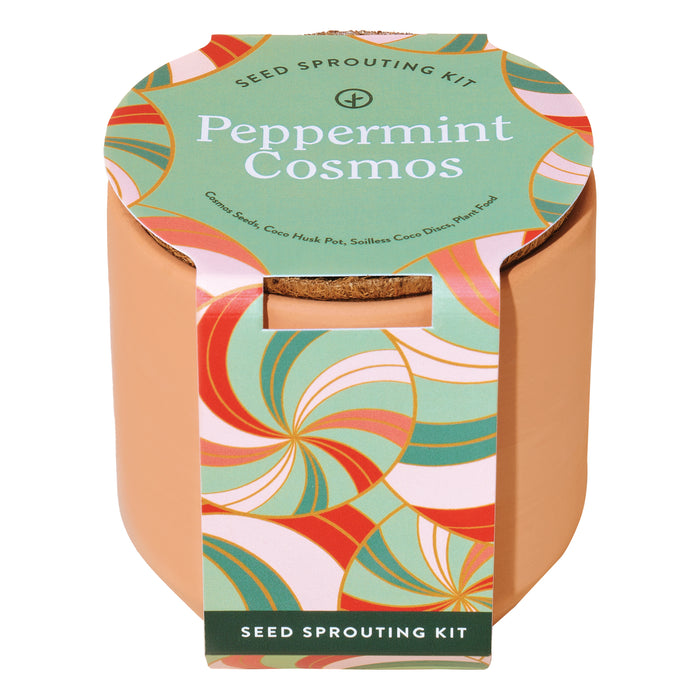 Modern Sprout Tiny Terracotta Kits, Peppermint Cosmos
