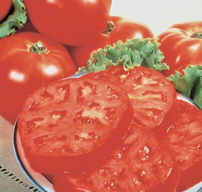 Burpee's Supersteak Hybrid Tomato Seeds