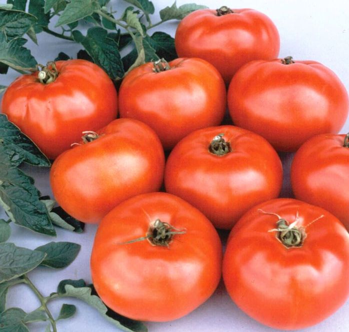 Jet Star Hybrid Tomato Seeds