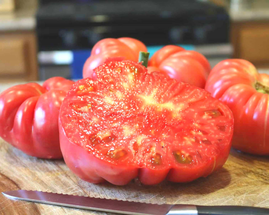 Pink Delicious Hybrid VFFTSt Tomato