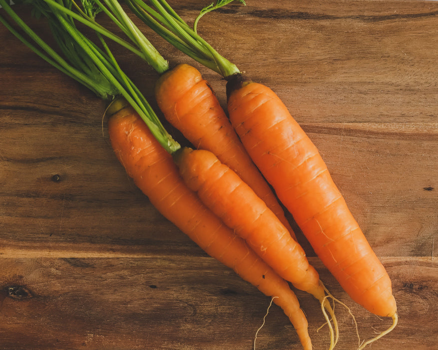 Bulk: Danvers Half-Long Carrot Seeds
