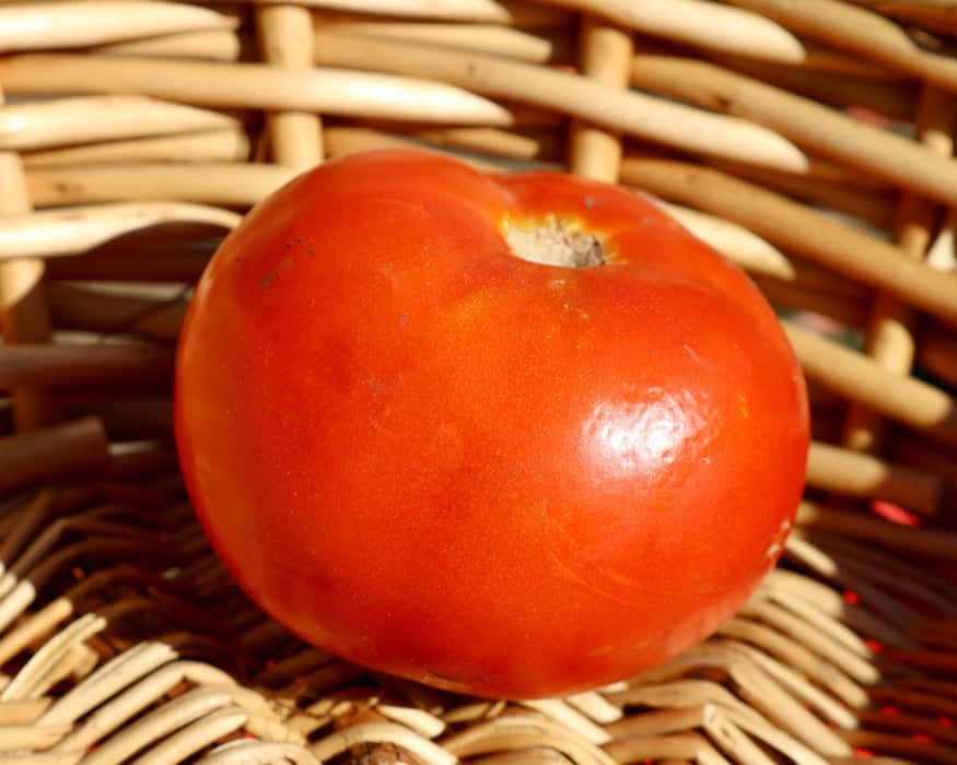 Heatmaster Hybrid Tomato Seeds
