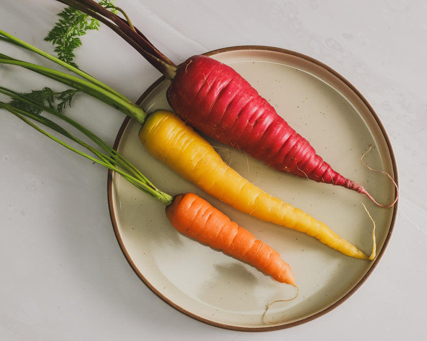 Rainbow Gourmet Series - Formula Mix (All 4 Colors) Carrot Seeds