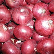 Red Candy Apple Hybrid Onion Plants - Ships Separately at Later Date