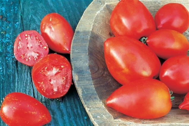 Bulk: Amish Paste Tomato Seeds