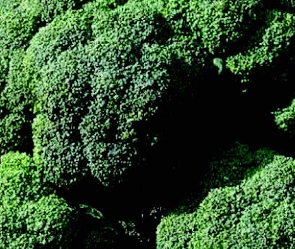 Bulk: De Cicco Broccoli Seeds