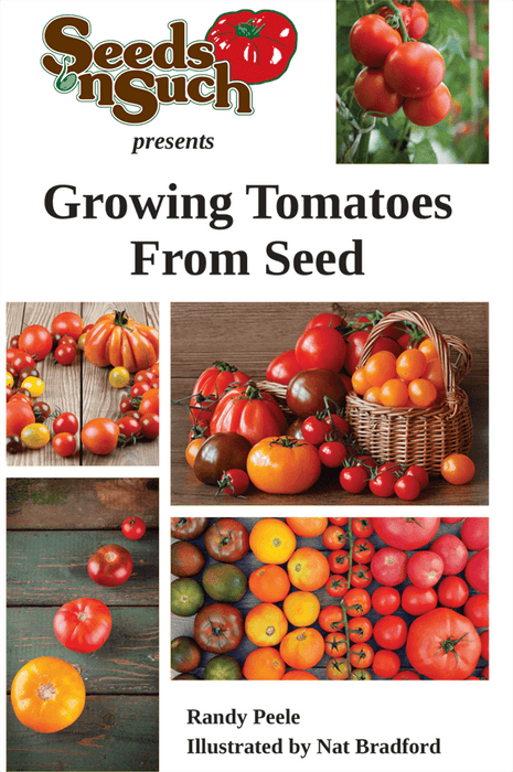 Growing Tomatoes From Seed - Tomato Growing Guide