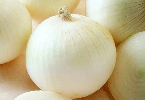 Sierra Blanca Hybrid Onion Seeds