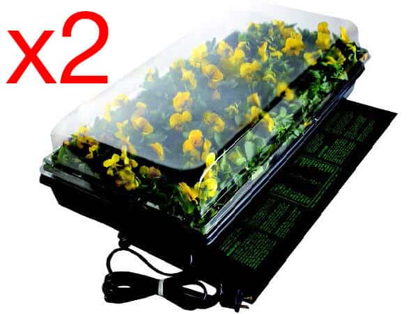 Two-Tray Germination Station with Heat Mat