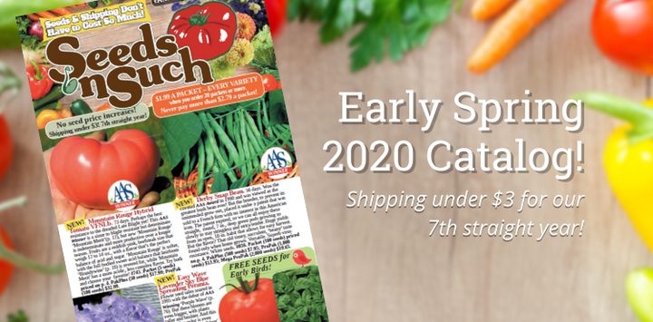 Introducing our Early Spring 2020 Catalog