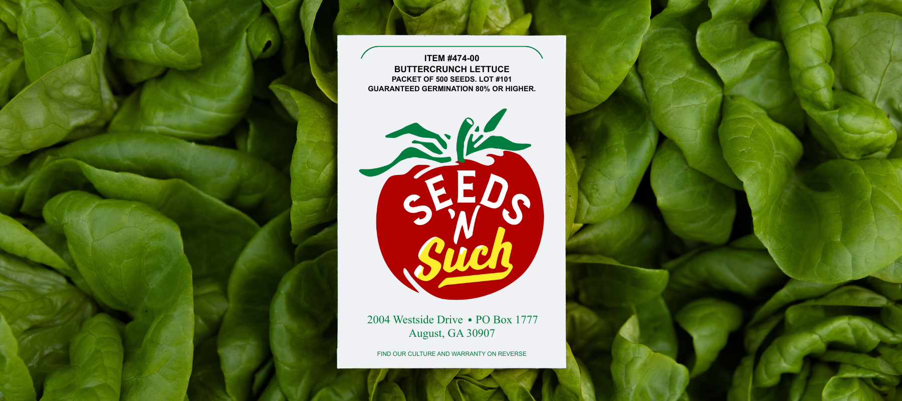 How To Keep Cool-Season Greens Growing This Fall