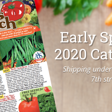 Introducing our Early Spring 2020 Catalog