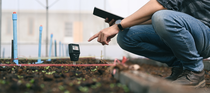 How to Test Soil pH (And How to Make Soil More Acidic For Healthy Crops)
