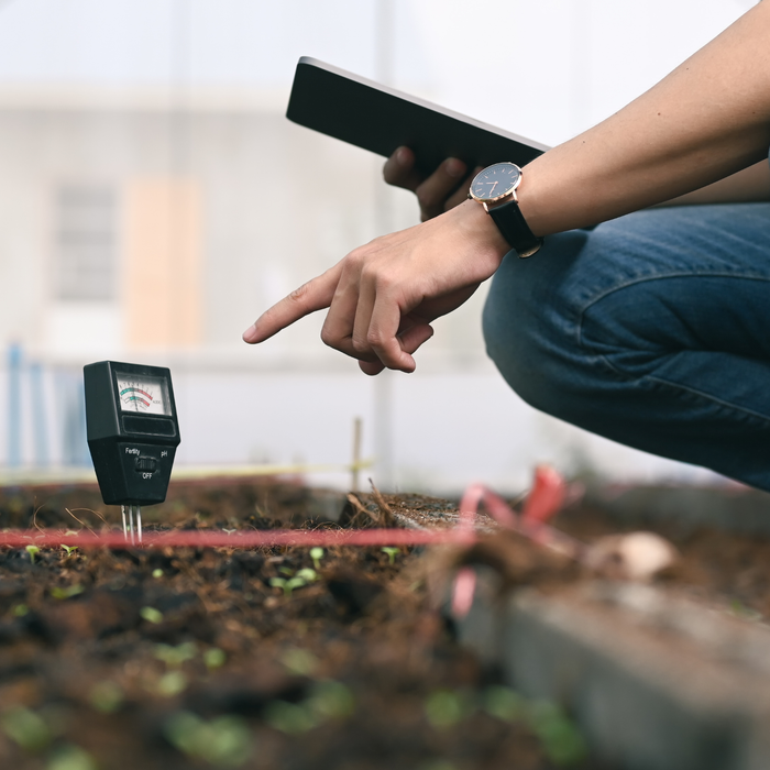 How to Test Soil pH (And How to Make Soil More Acidic For Healthy Crops)