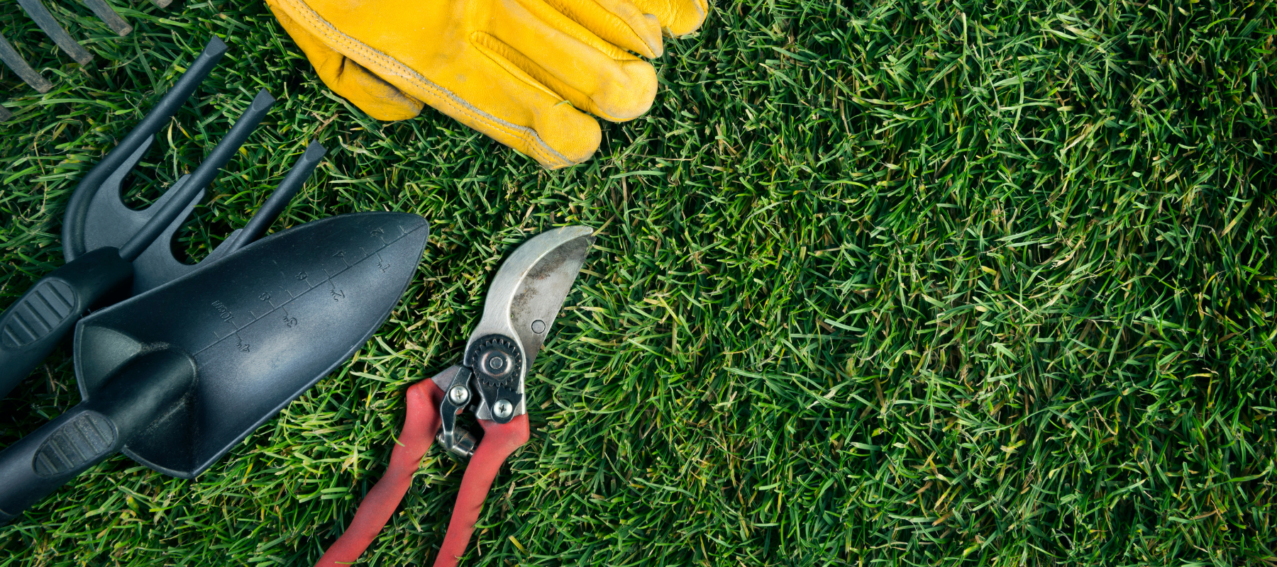 Garden Tools You Need (and Some You Don't)