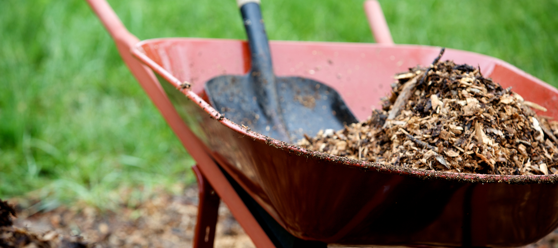 Wood Chips in the Garden: Bargain or Bane?