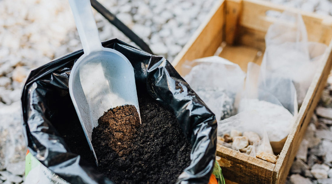 6 Different Types Of Dirt And How To Maximize Your Native Soil For Better Harvests
