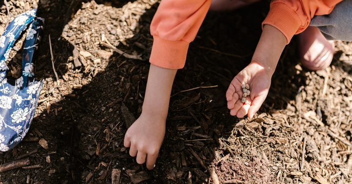 5 Reasons Why You Should Wait to Start Seeds