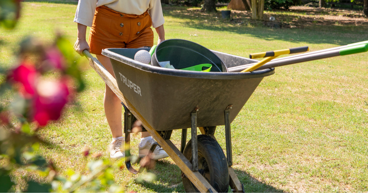 Garden Planning and Designing
