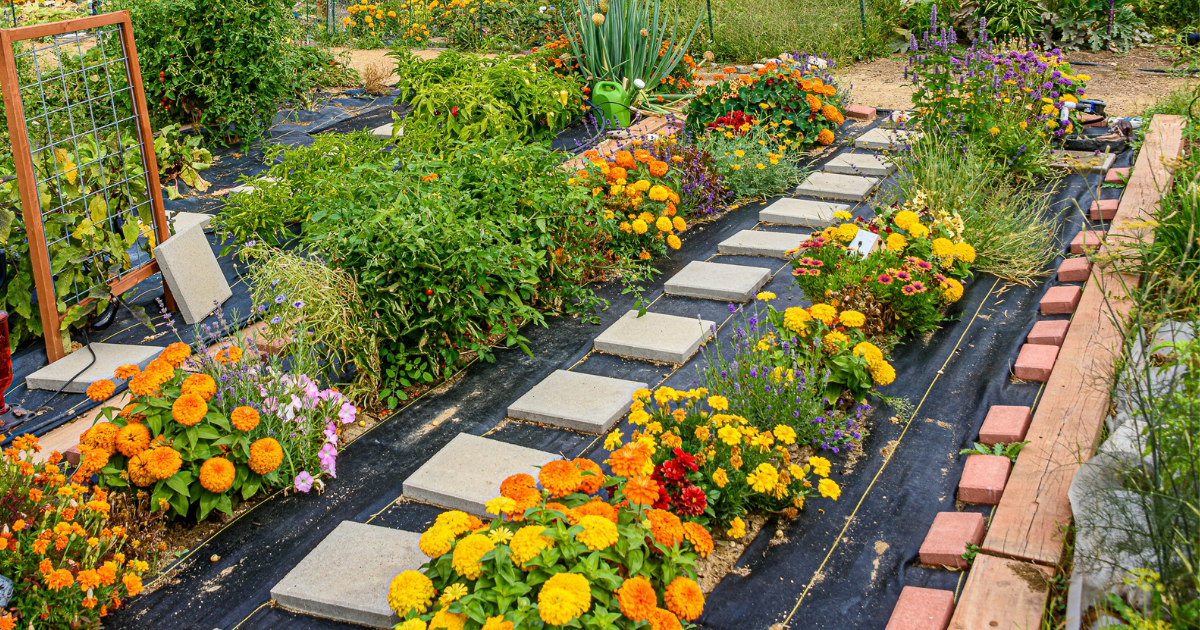 When You Need To Hand-Pollinate Flowers (And How To Do It)