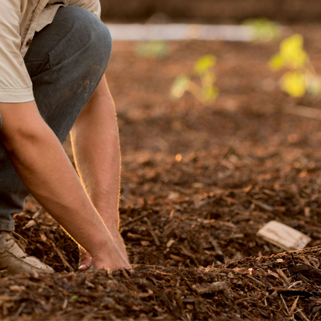 man planting seeds in soil