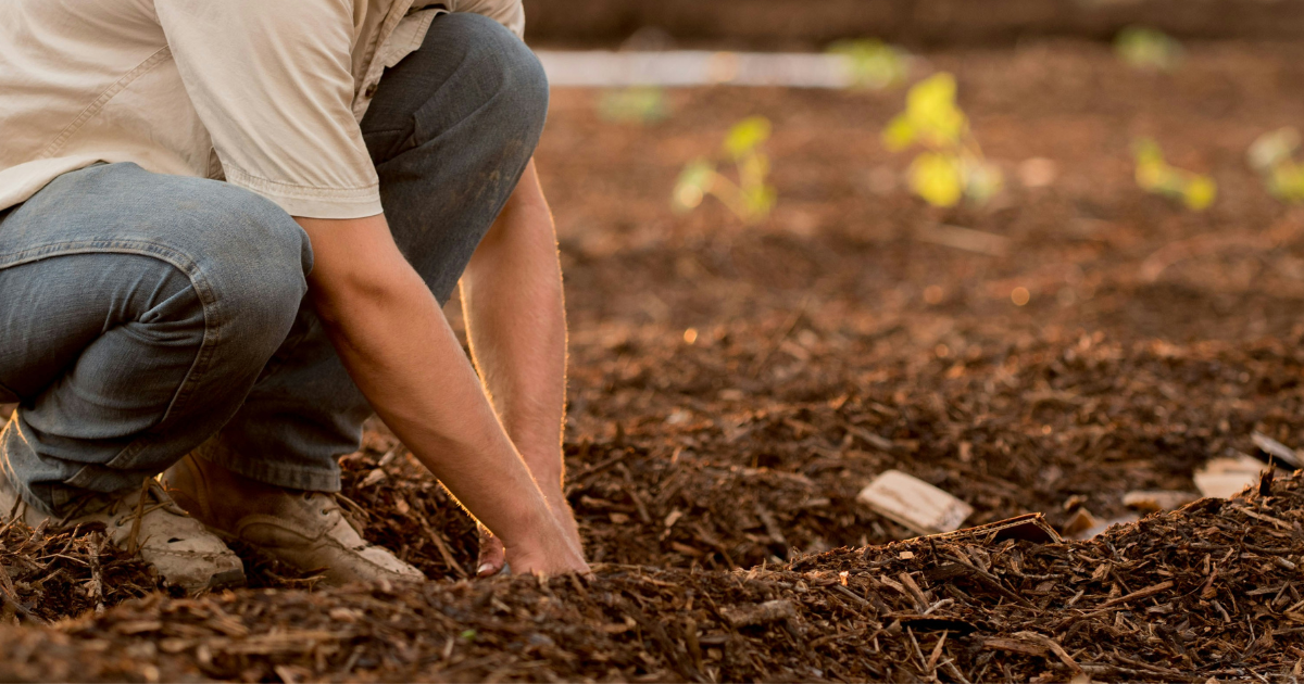 man planting seeds in soil