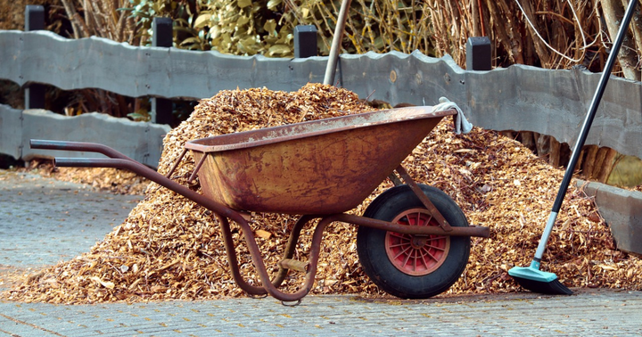 Wheelbarrow full of mulch