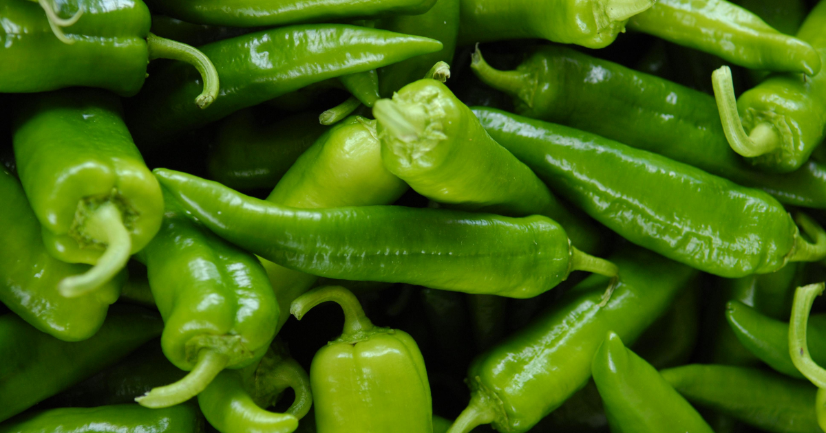 Hot Chili Peppers and the Scoville Scale (plus 5 recommendations for new growers)
