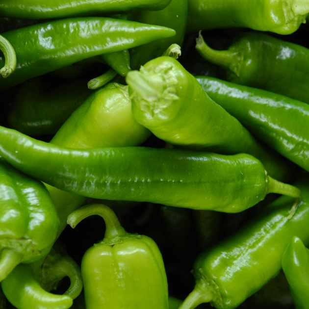 Hot Chili Peppers and the Scoville Scale (plus 5 recommendations for new growers)