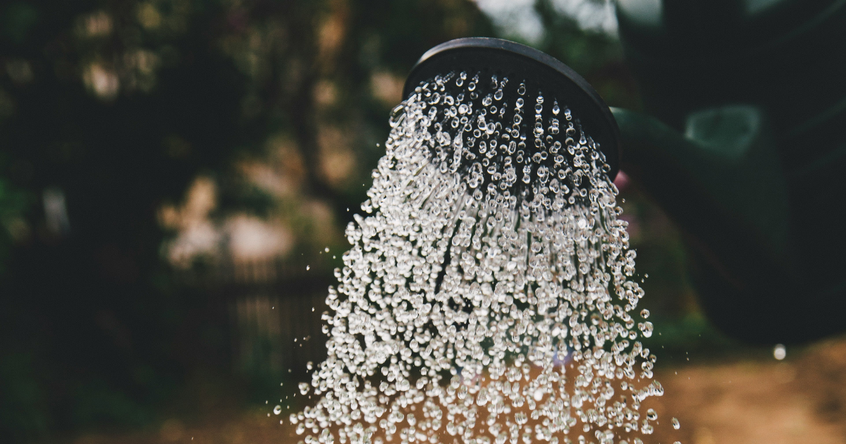 How To Water Your Garden The Right Way