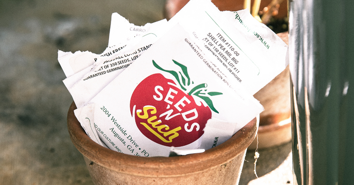 Everything You Ever Wanted To Know About Seed-Saving