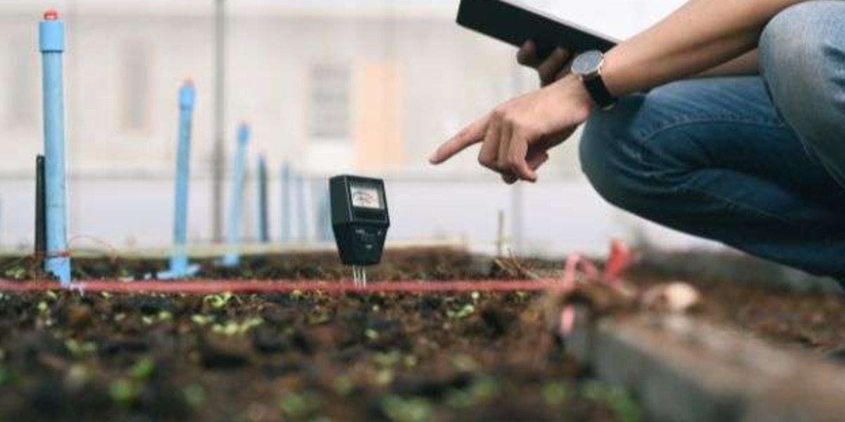 How to Test Soil pH (And How to Make Soil More Acidic For Healthy Crop ...