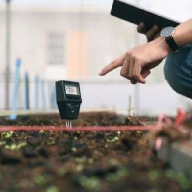 How to Test Soil pH (And How to Make Soil More Acidic For Healthy Crops)