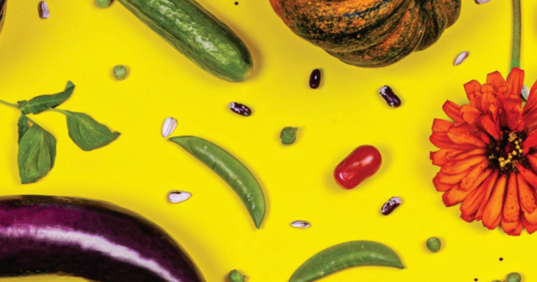 How to Order Seeds from a Seed Catalog in 4 Easy Steps