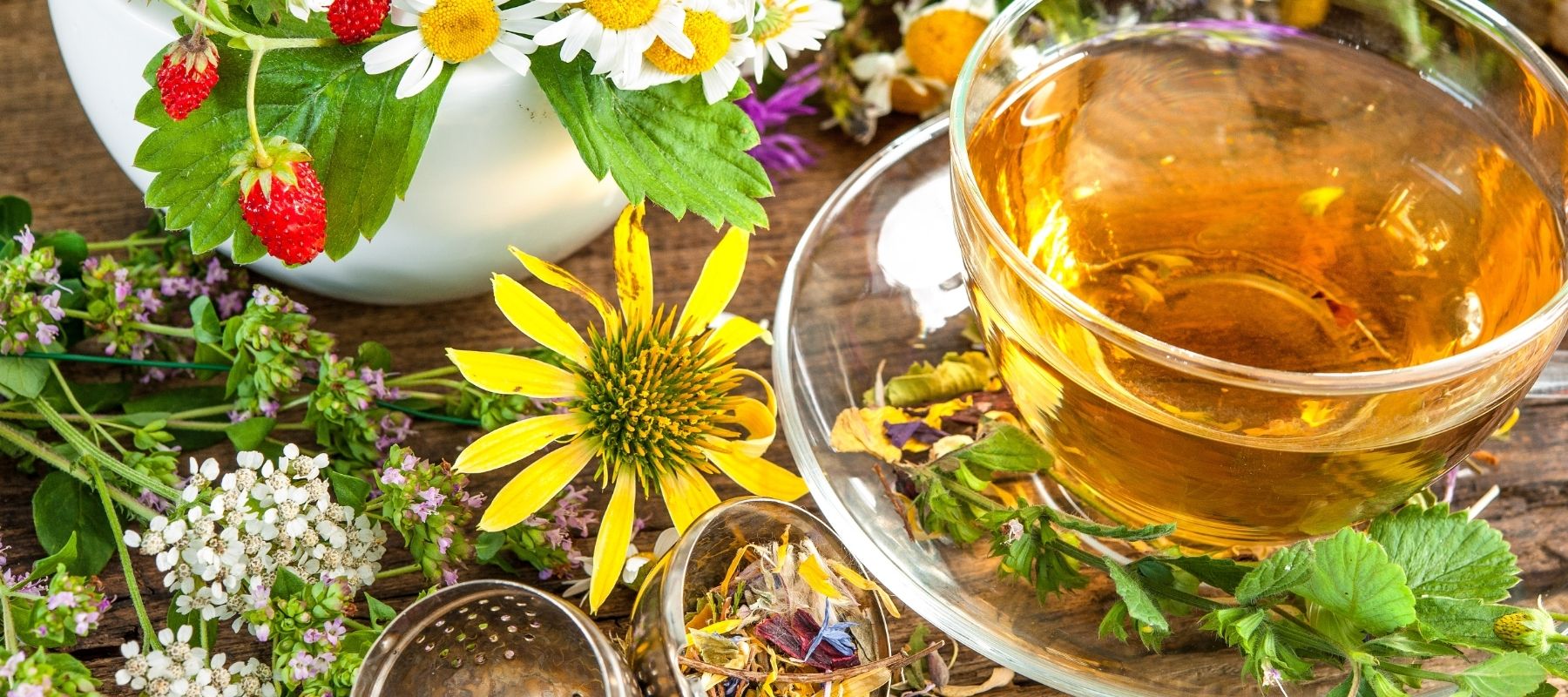 Starting Your Herbal Tea Garden