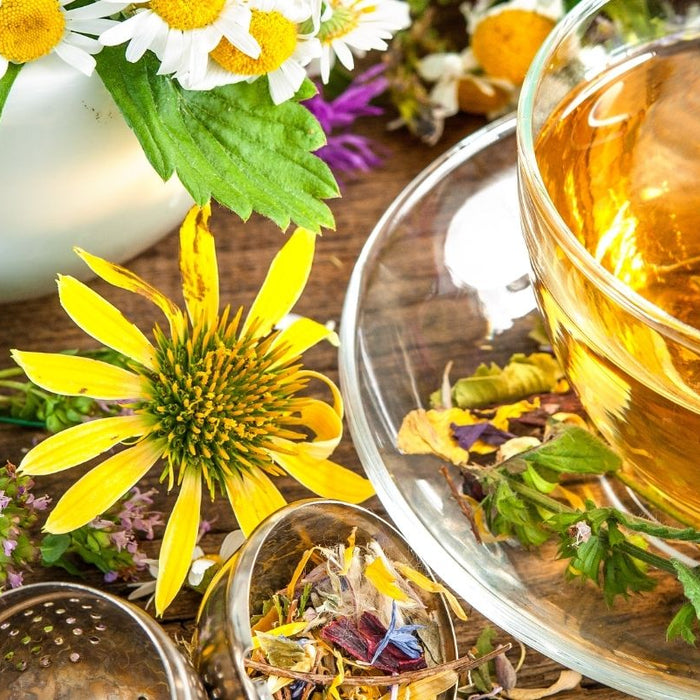 Starting Your Herbal Tea Garden