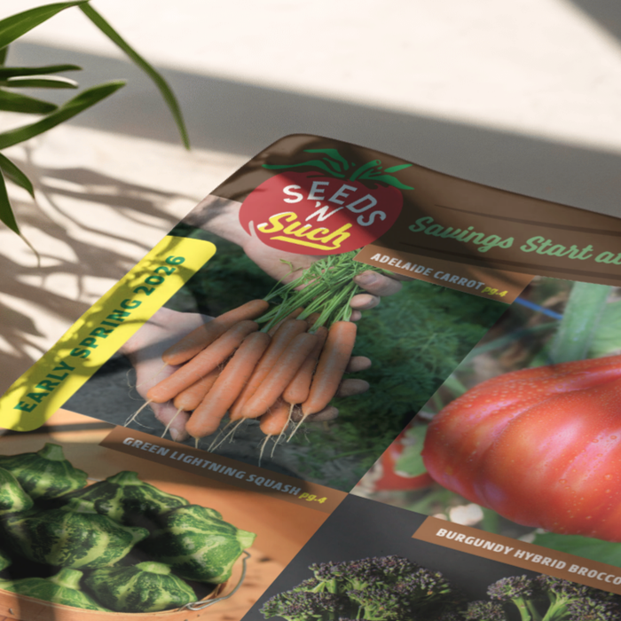 How To Read A Seed Catalog