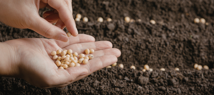 Proper Seed Spacing And Depth Made Easy