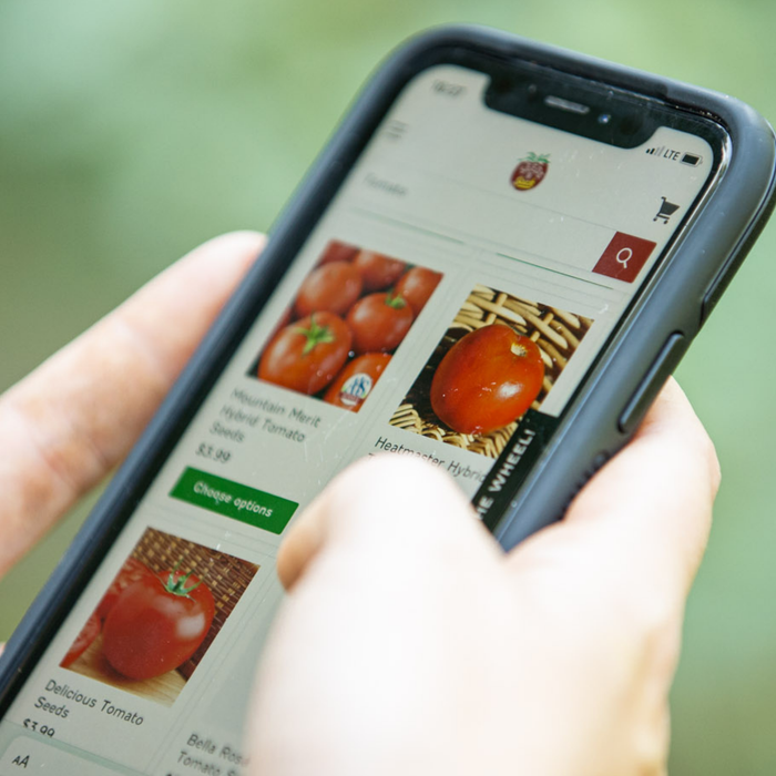 What Do Hybrid And Open-Pollinated Mean?