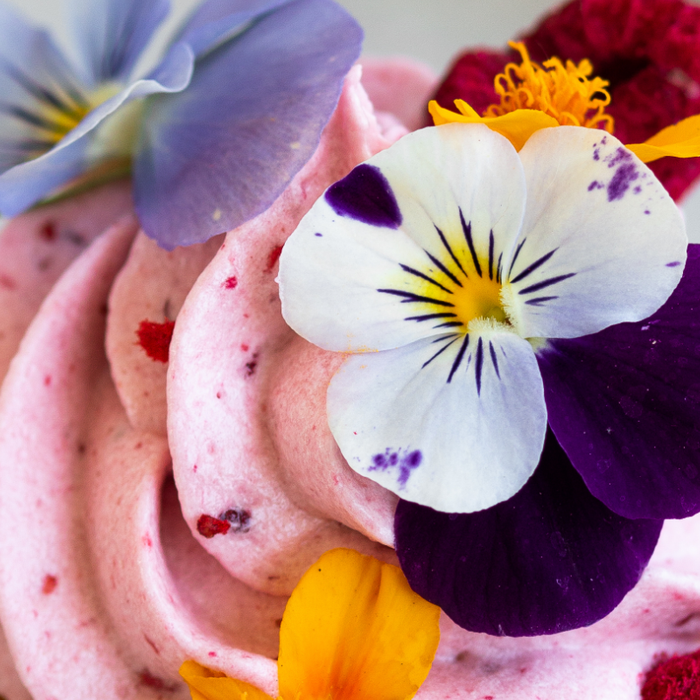 Recipe of the Month: Flower Garden Cupcakes