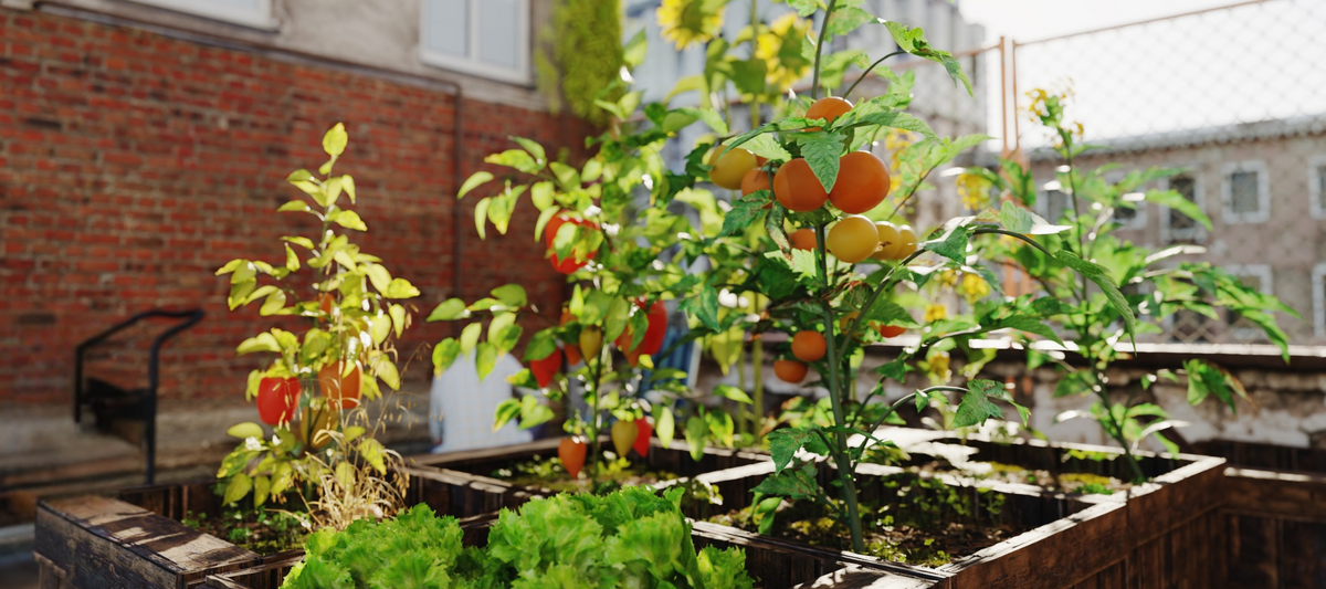 There's No One Right Way To Garden