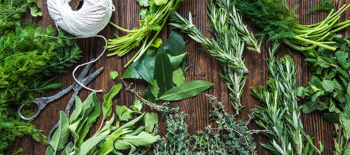 Getting Started With Herbs