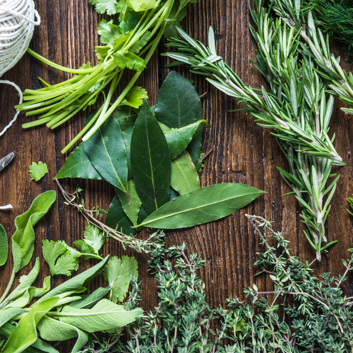 Getting Started With Herbs
