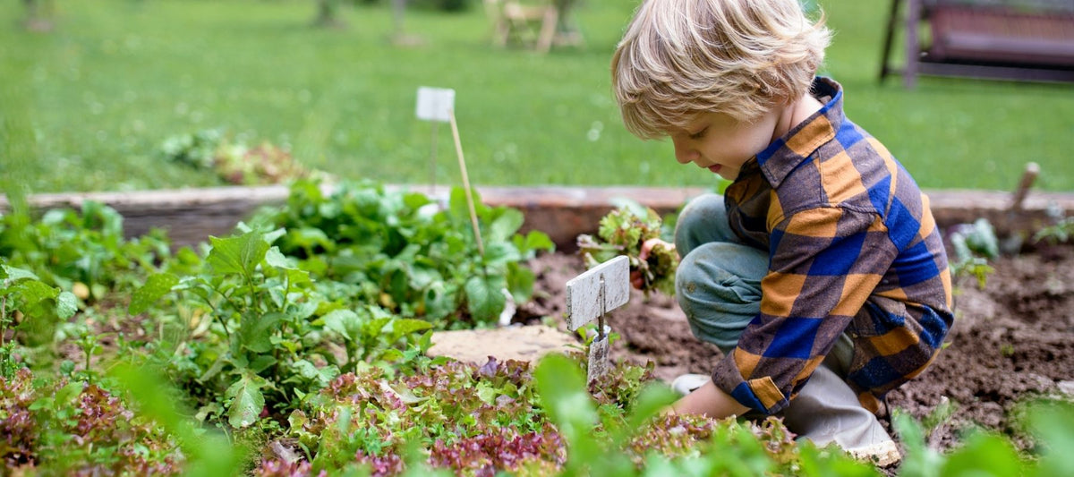 Fast-Germinating and Easy-Win Crops to Keep Kids Interested in Gardening